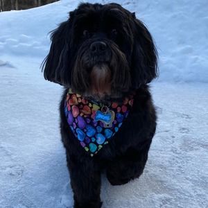 Meet your Posher, Dana